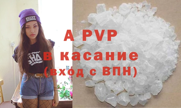 СК Алексин