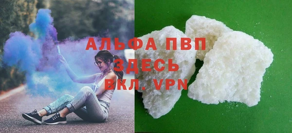СК Алексин