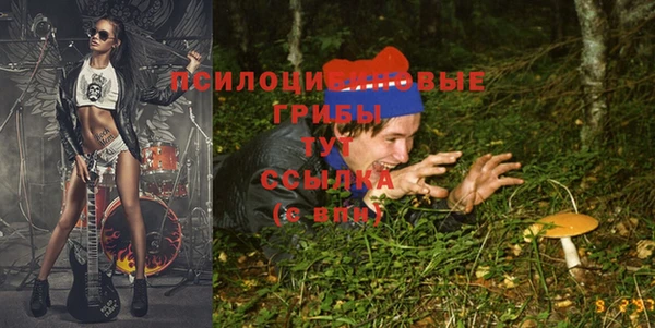 СК Алексин
