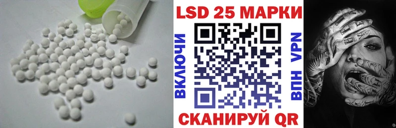 где купить наркоту  Новая Ладога  Лсд 25 экстази ecstasy 